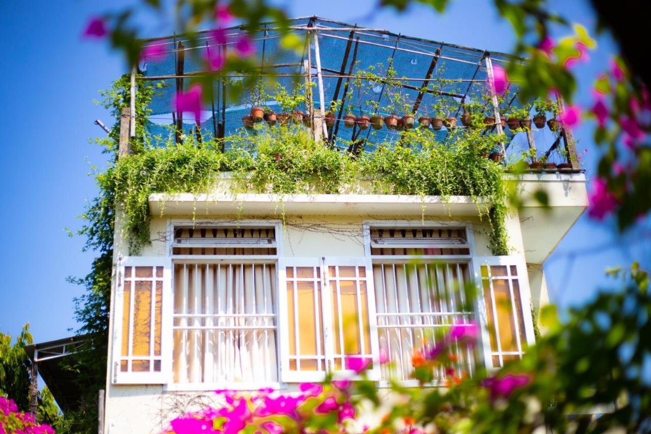 Homestay Skybird