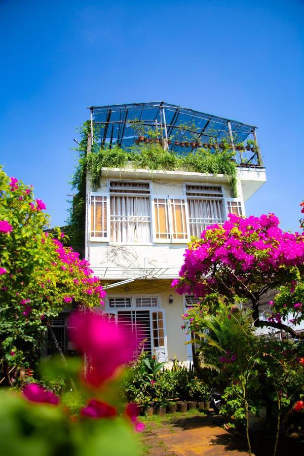 Homestay Skybird