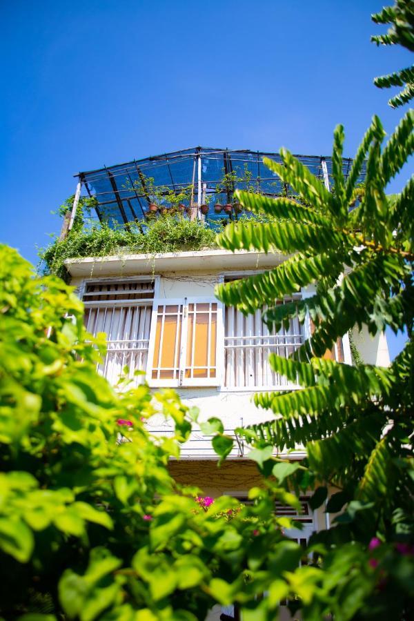Skybird Homestay