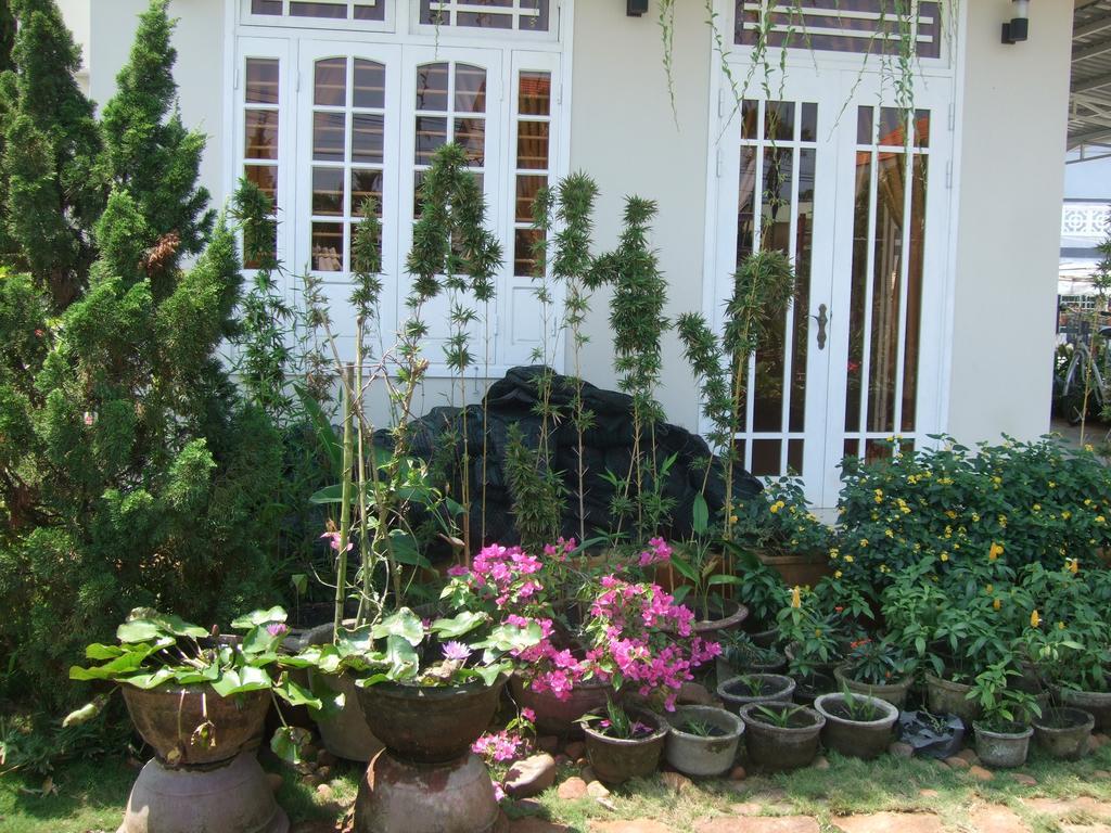 Homestay Skybird